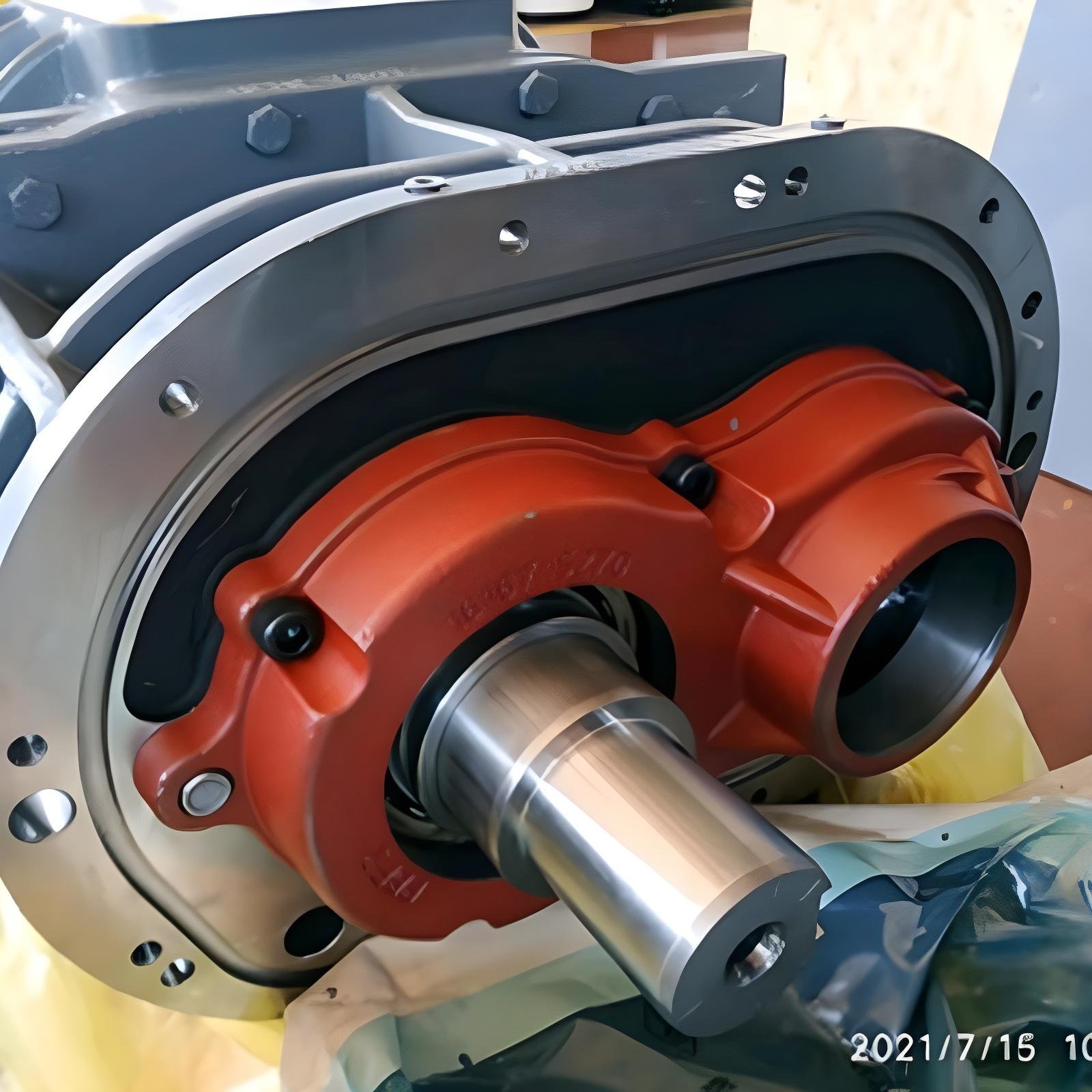 Rotary_Screw_Element_1