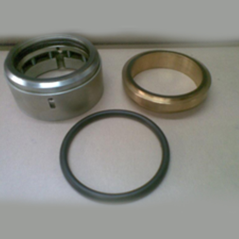 Mechanical Seal 3