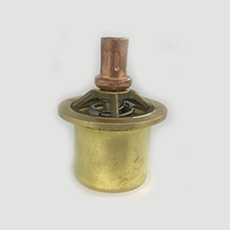 Thermostat Valve Kit 4