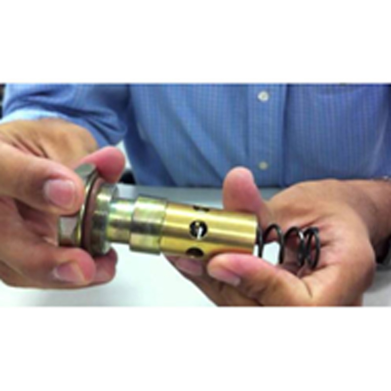 Thermostat Valve Kit 5